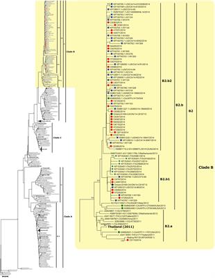 Global Distribution and Evolutionary History of Enterovirus D68, with Emphasis on the 2014 Outbreak in Ontario, Canada